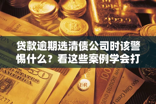 武汉贷款逾期选清债公司时该警惕什么？看这些案例学会打翻身仗