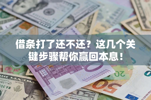 武汉借条打了还不还？这几个关键步骤帮你赢回本息！