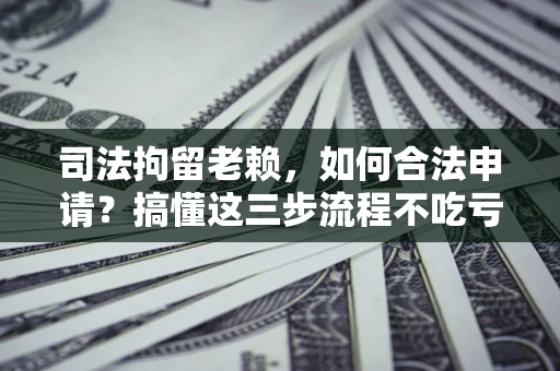 武汉司法拘留老赖，如何合法申请？搞懂这三步流程不吃亏！