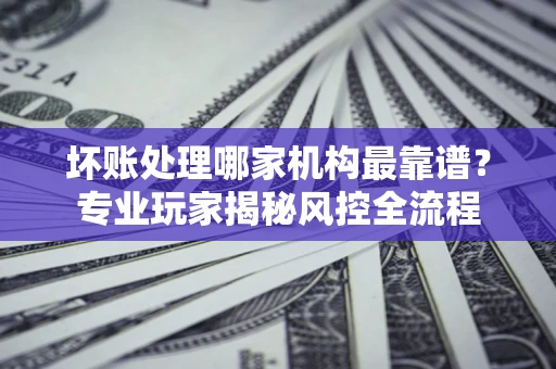 武汉坏账处理哪家机构最靠谱？专业玩家揭秘风控全流程