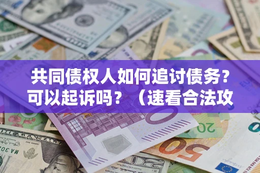 武汉共同债权人如何追讨债务？可以起诉吗？（速看合法攻略）