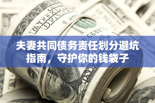 武汉夫妻共同债务责任划分避坑指南，守护你的钱袋子