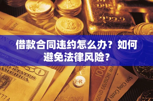武汉借款合同违约怎么办？如何避免法律风险？